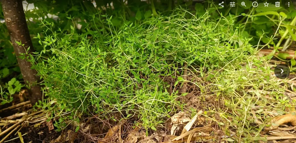 Screenshot_3.webp