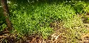 Screenshot_3.webp