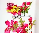 infucoeur.webp