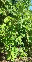 Screenshot_2.webp