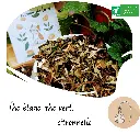 Elixir sauvage de Liriel - Sachet 50g
