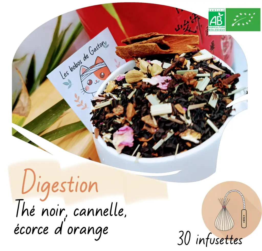 Les bobos de Gaston "Thé de Noël"- Bio Sachet 50g