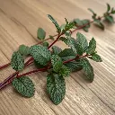 Menthe poivrée chocolat - feuilles du jardin Vrac 20g