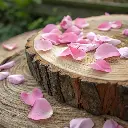 Tisane de roses de Damas du jardin - Pétales Vrac 20g