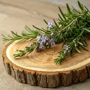 Tisane de Romarin du jardin Vrac 20g