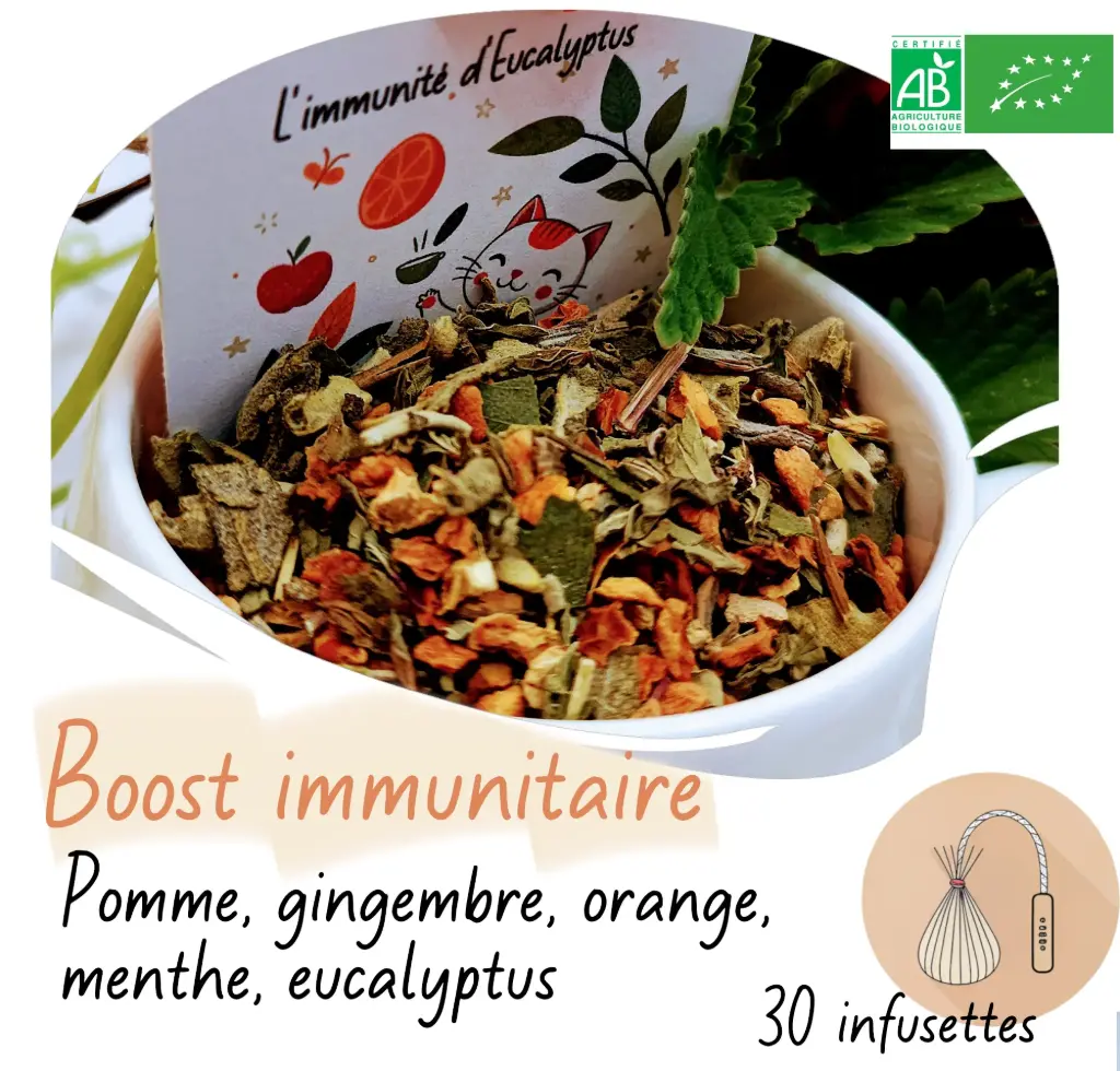 L'immunité d'Eucalyptus - Infusion Bio Sachet 50g