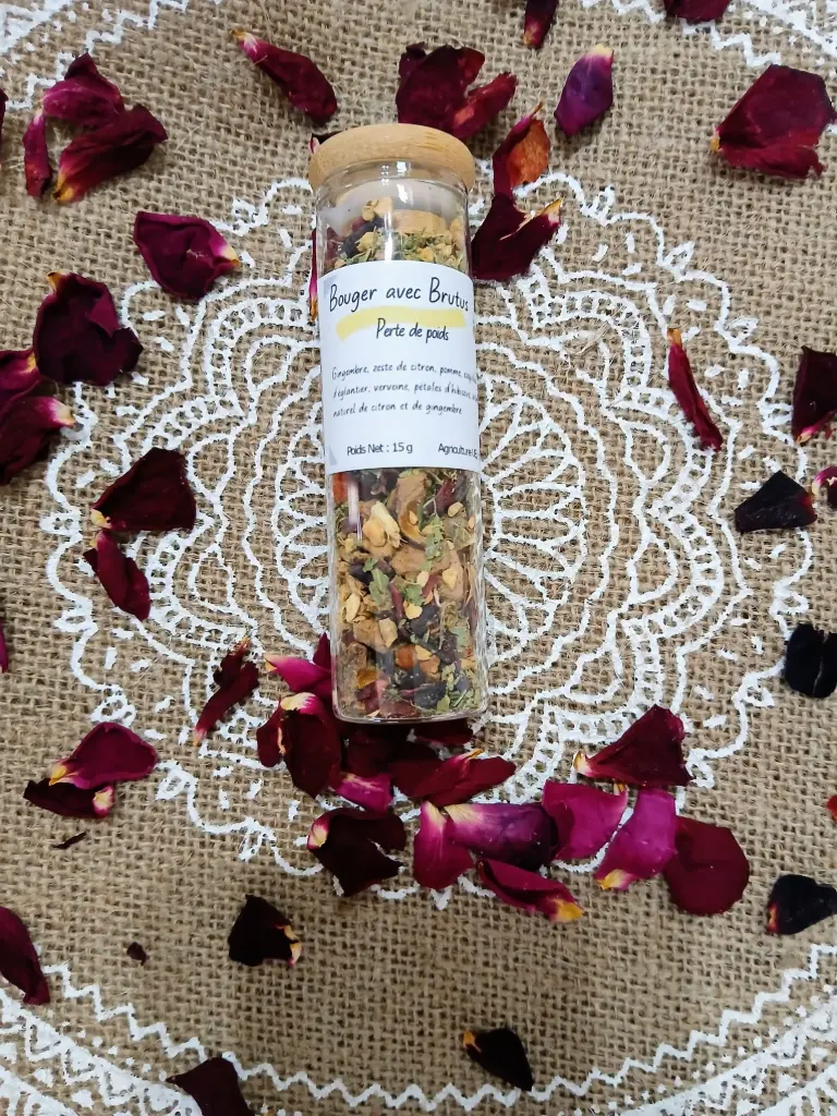 La Fiole infusion "Bouger avec Brutus" Verre & Bambou-  vrac 10g à 15g