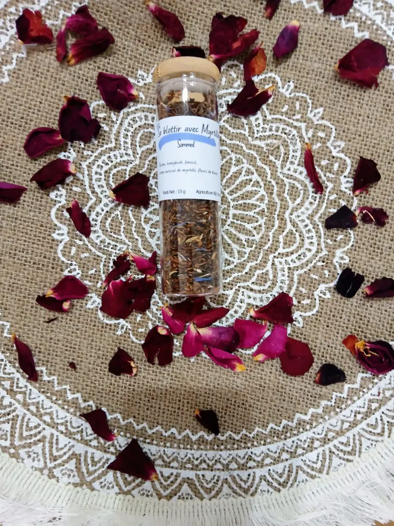 La Fiole infusion "Se blottir avec Myrtille - Bio Vrac" en Verre & Bambou-  vrac 10g à 15g